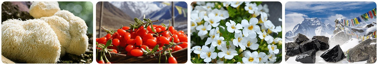 Neura ingredients